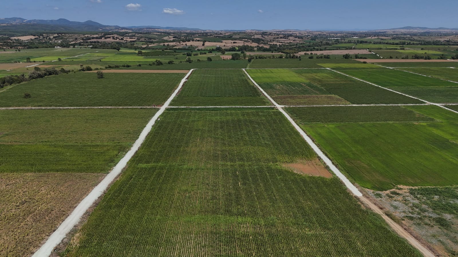 Arazi Toplulaştırma Projesi